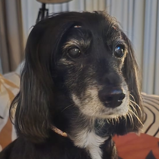 GL&Oacute;RIA  Michele Teixeira 