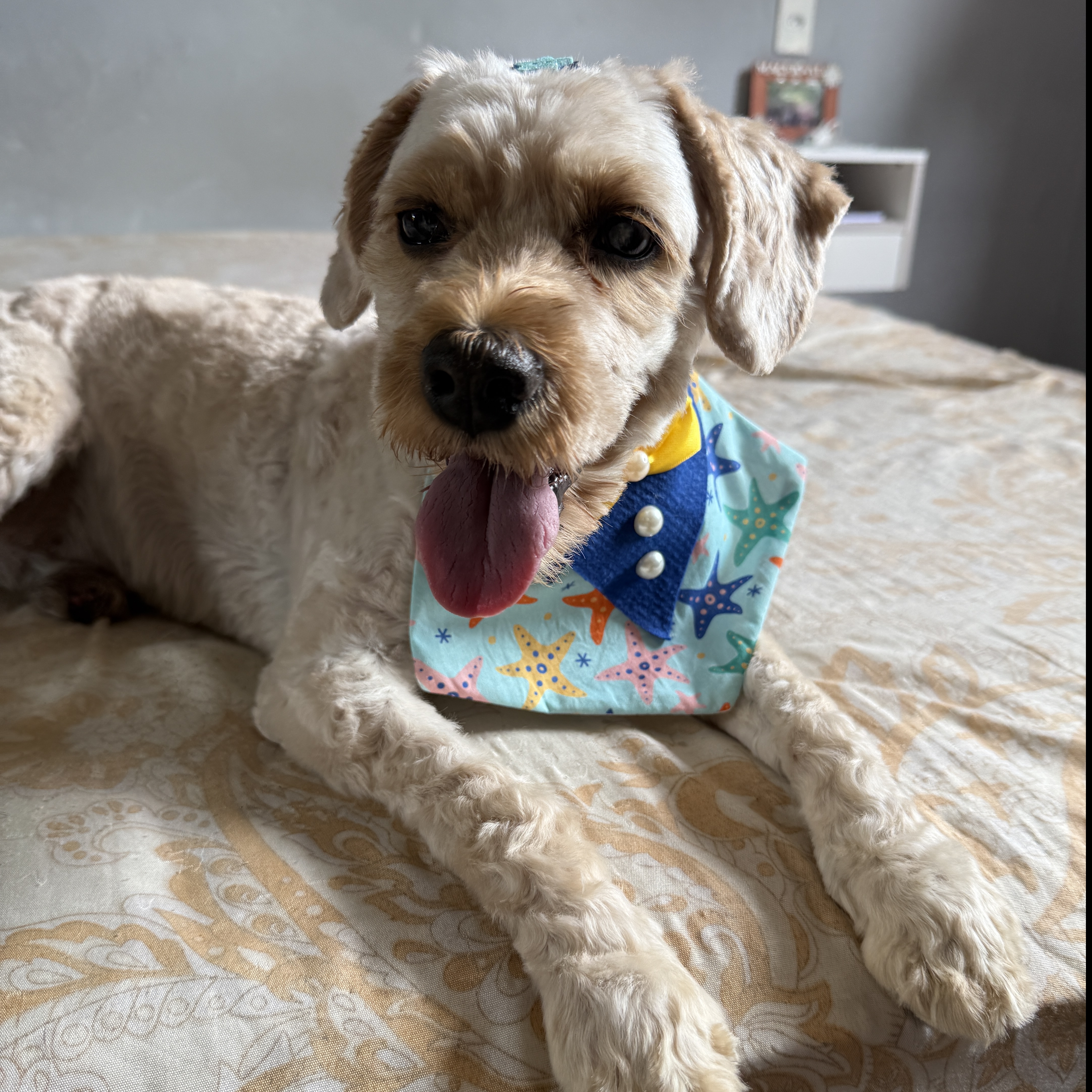 Bily Victoria Mascarenhas