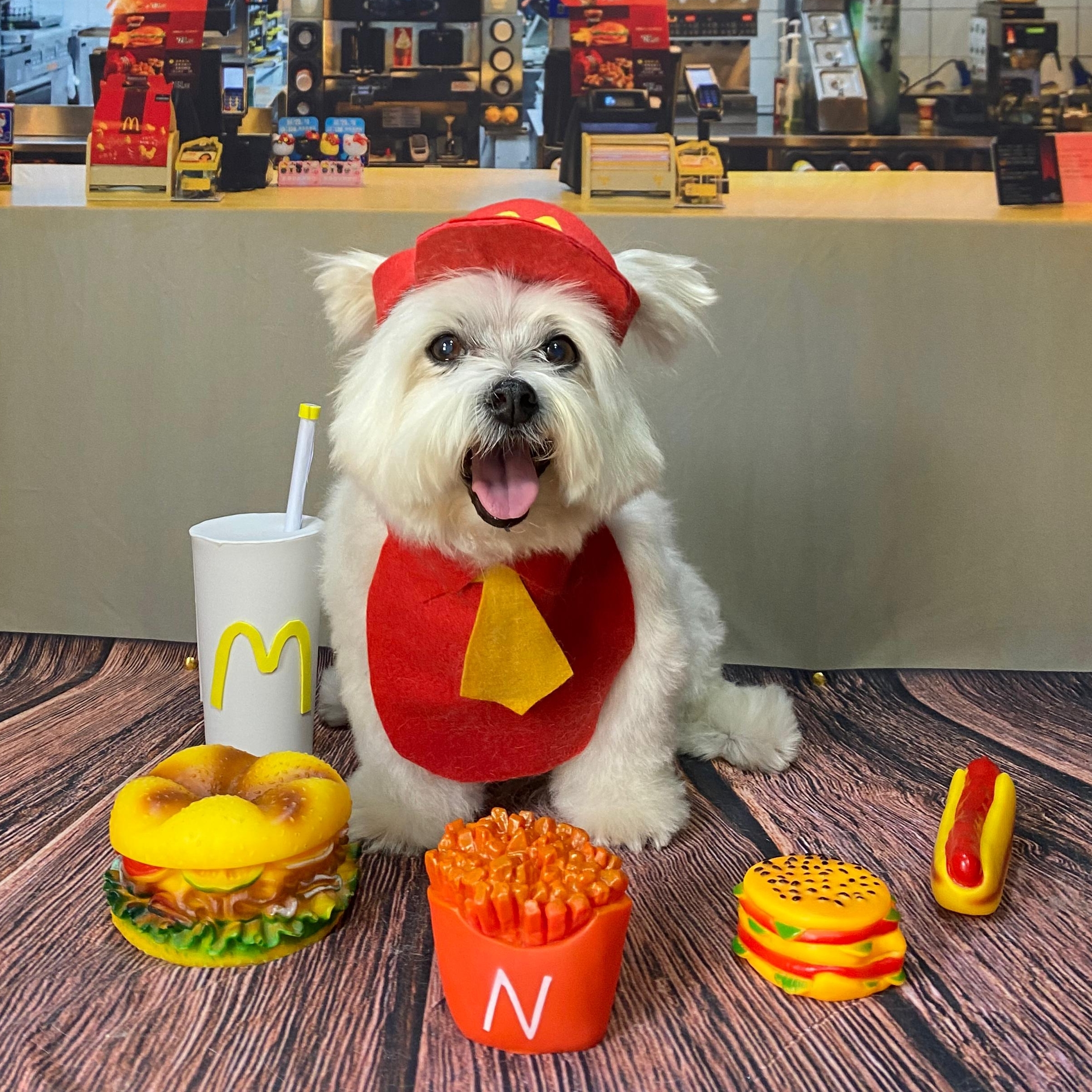 Bolota Helena ou Marilyn