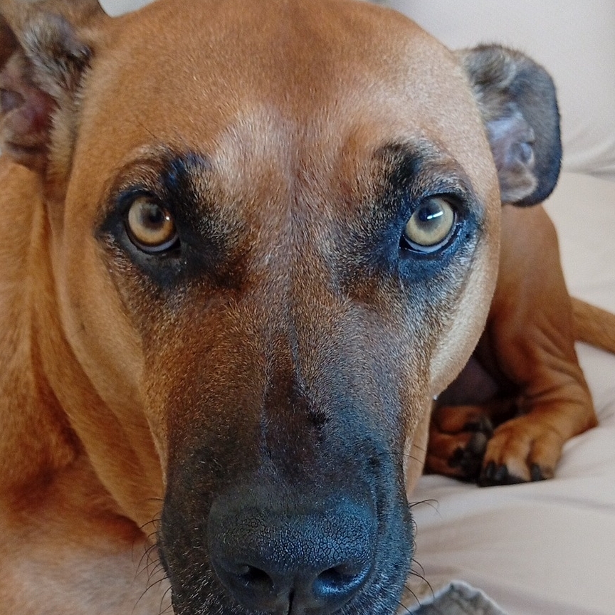 -Maria Tereza M&aacute;rcia Menezes 